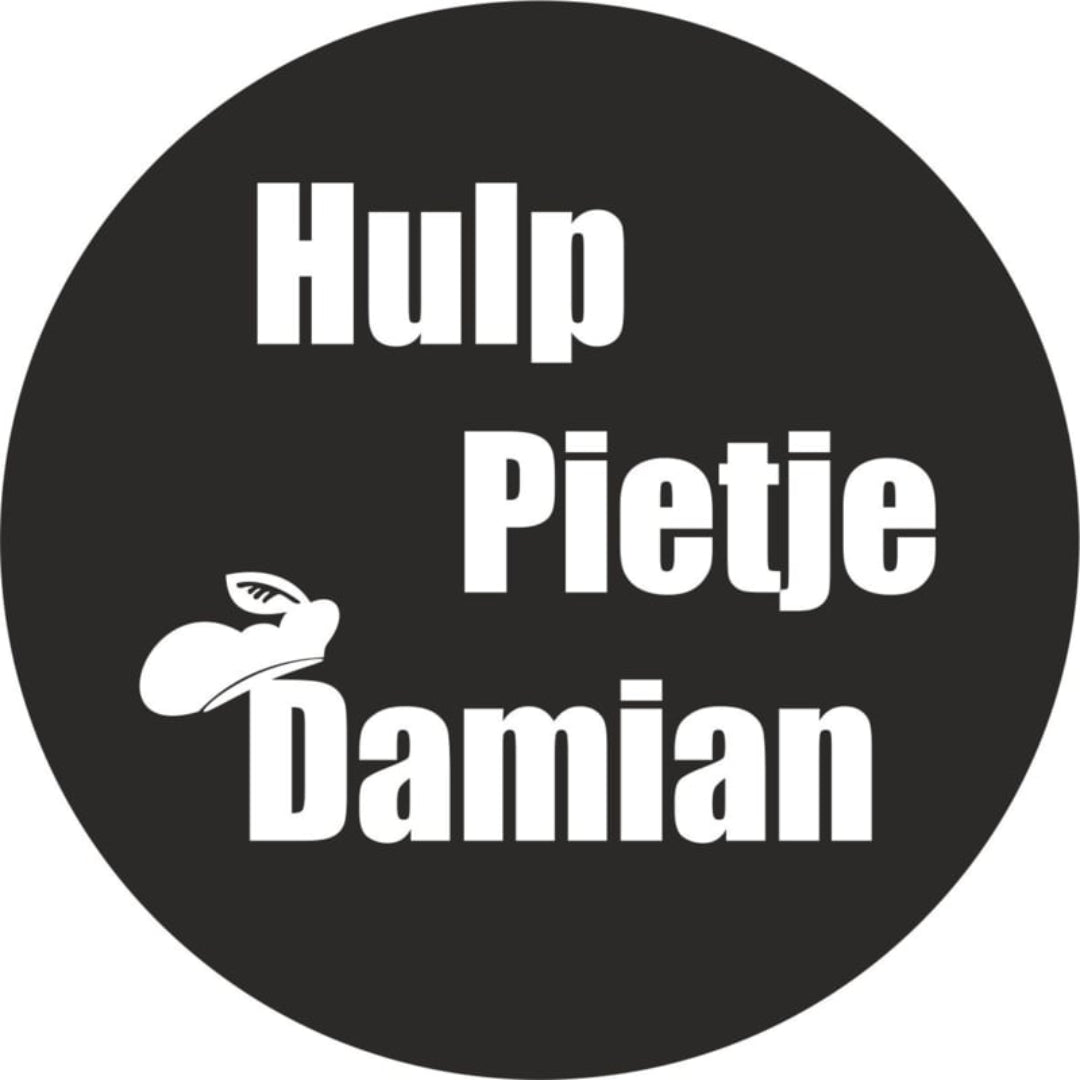 strijkapplicatie hulppietje naam sinterklaas