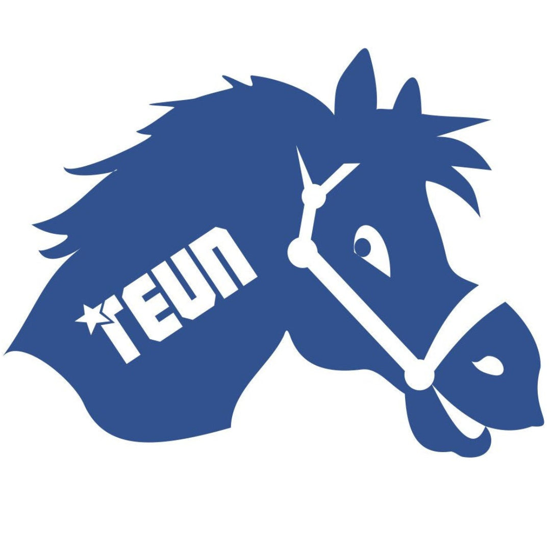 strijkapplicatie paard met naam