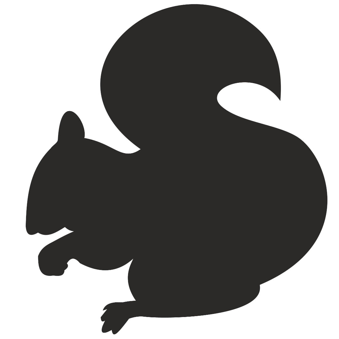 Strijkapplicatie Eekhoorn