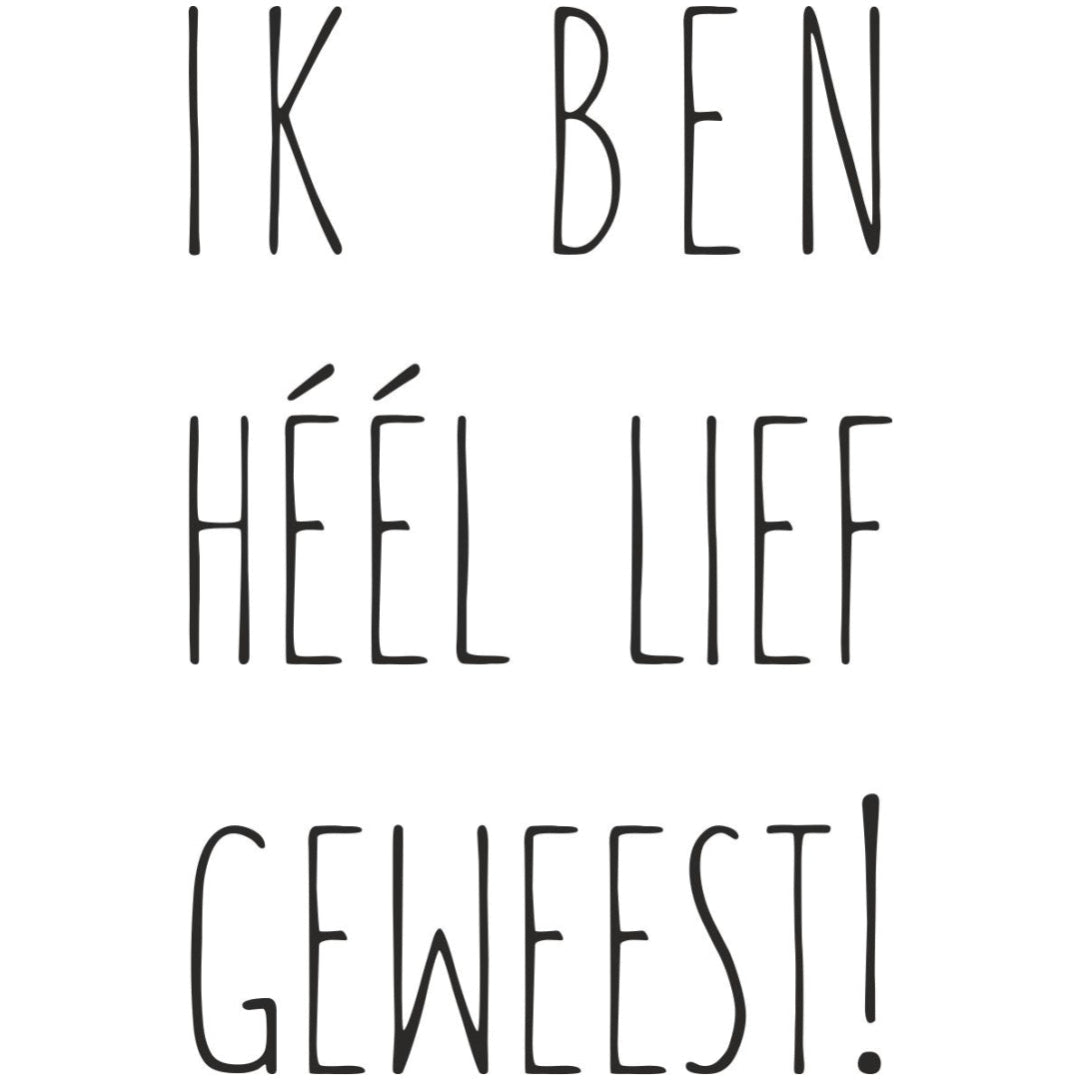 strijkapplicatie lief geweest sinterklaas