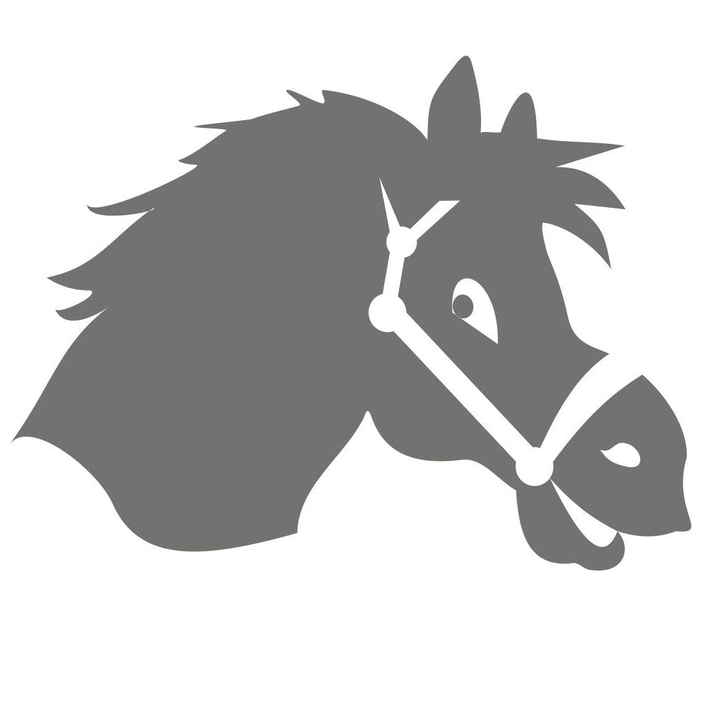 strijkapplicatie paard hoofd