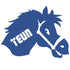strijkapplicatie paard met naam