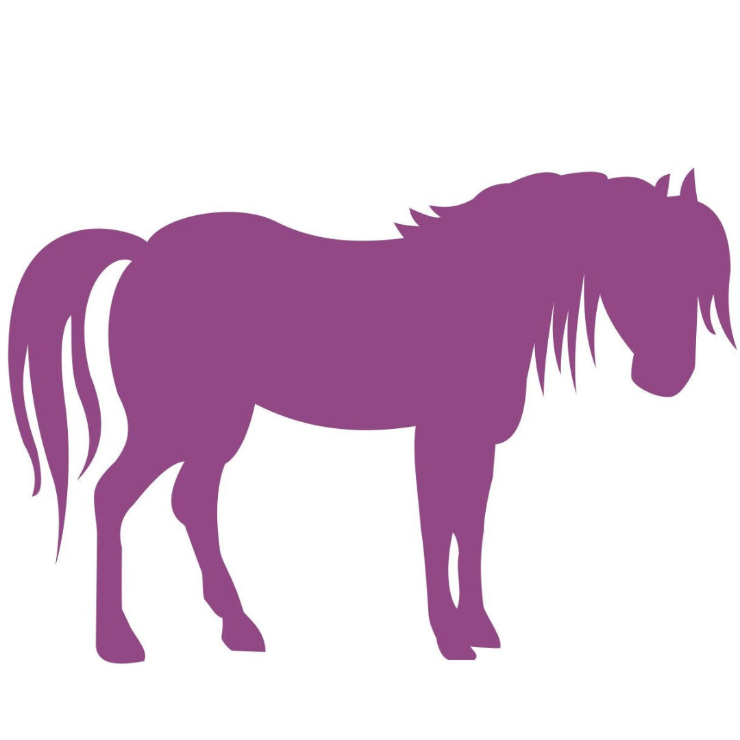 strijkapplicatie Paard