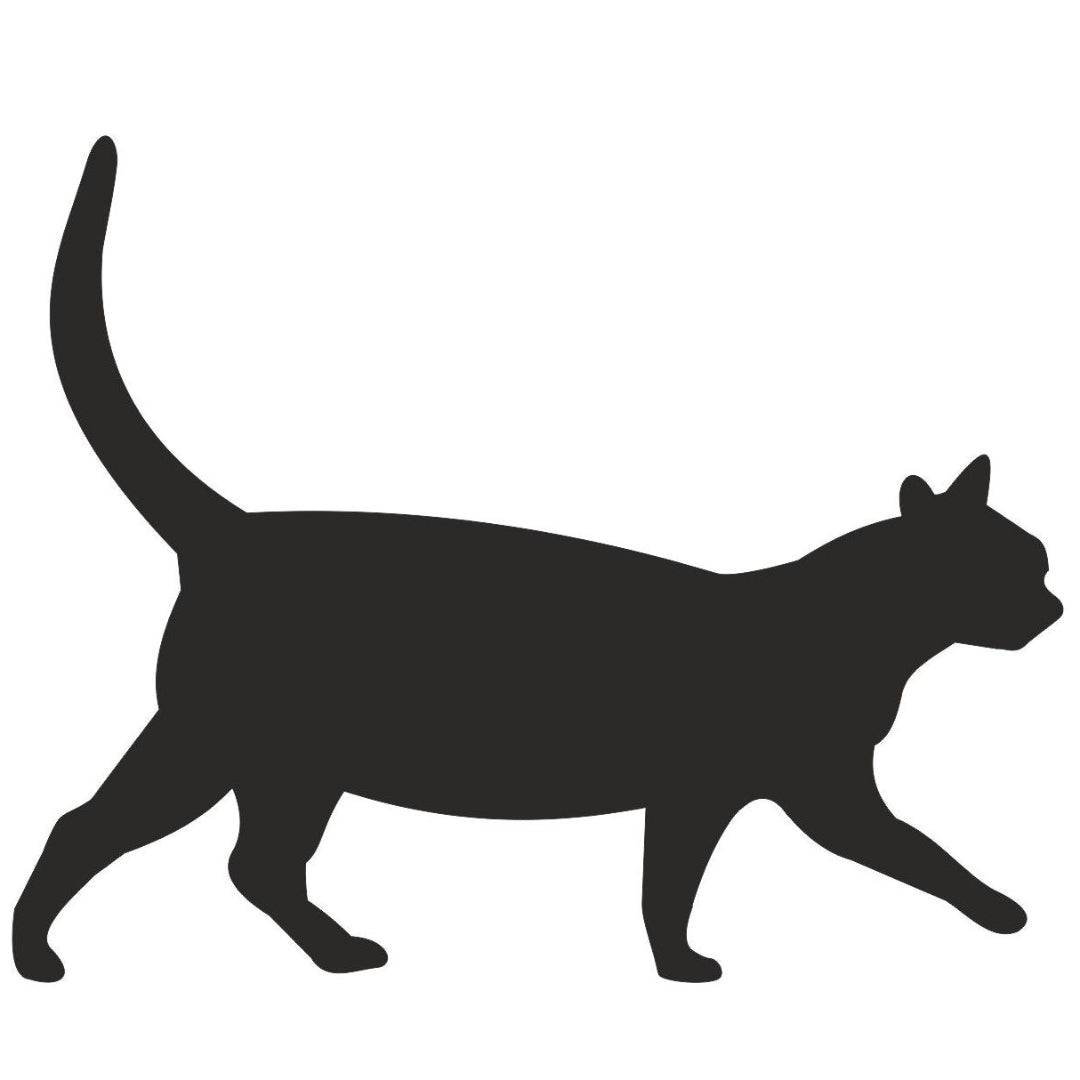 strijkapplicatie Poes