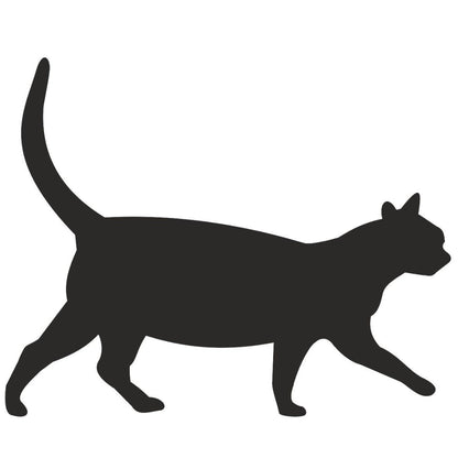 strijkapplicatie Poes