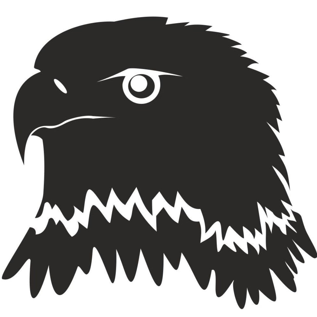 strijkapplicatie Adelaar