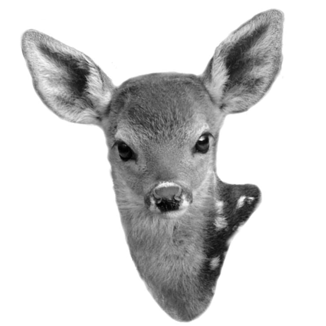 strijkapplicatie full colour Hertje