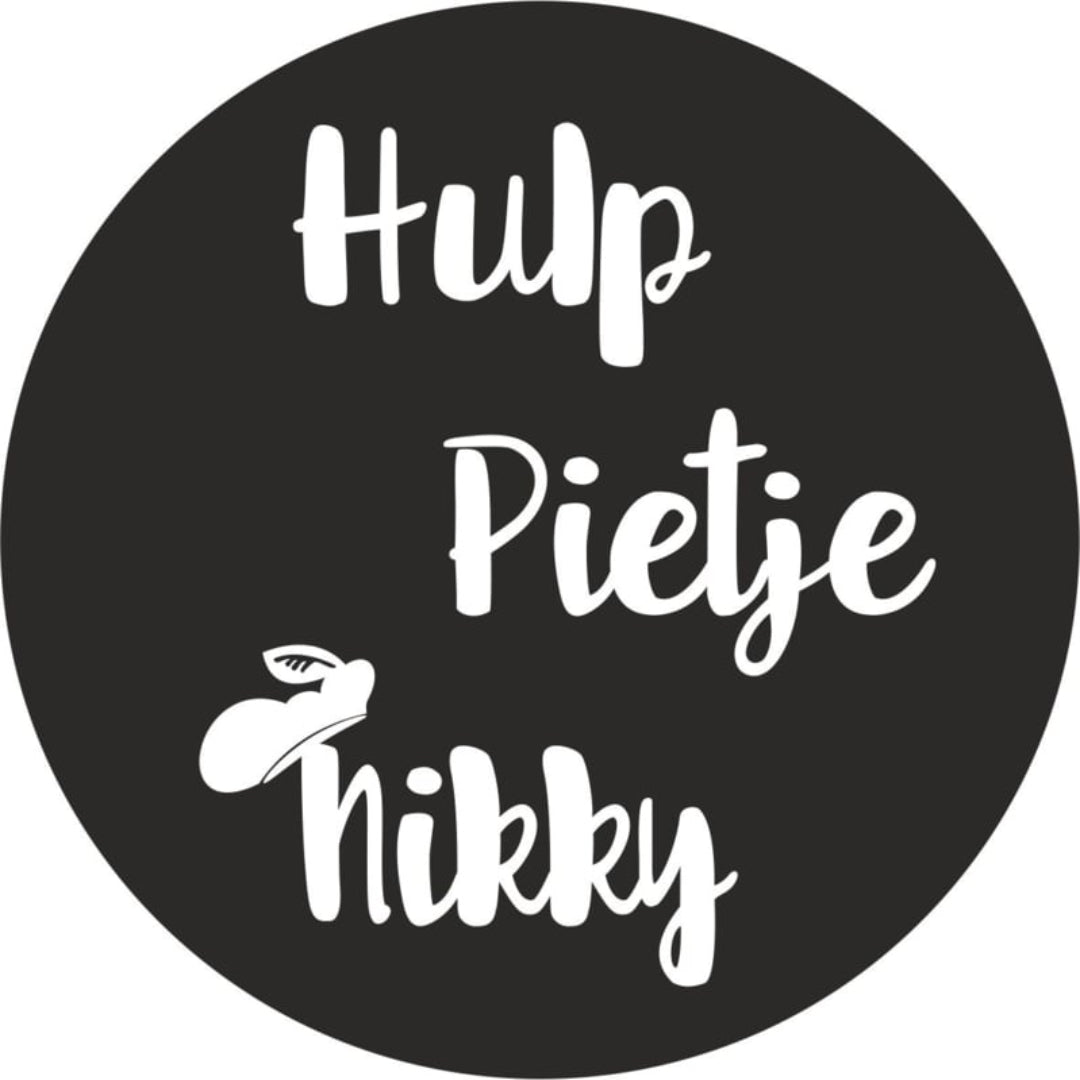strijkapplicatie huppietje naam sinterklaas