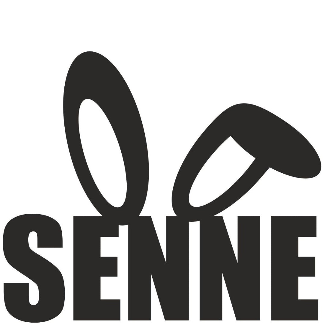 strijkapplicatie paashaas oren naam