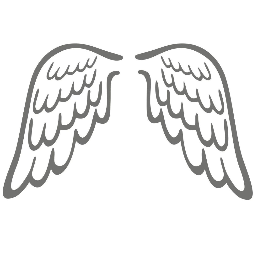 strijkapplicatie vleugels